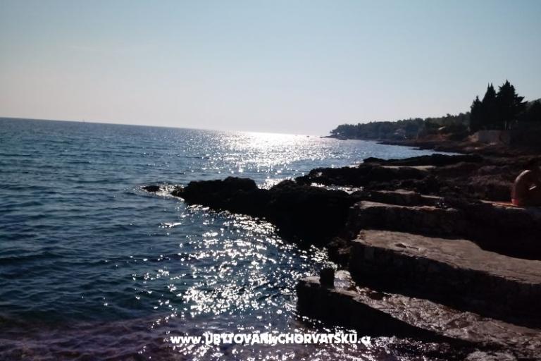 ART AND NATURE  – fotó 16