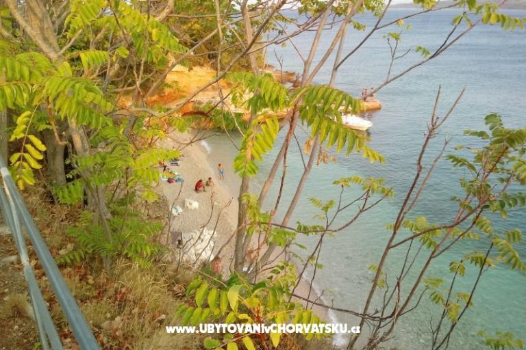 ART AND NATURE  – fotó 3