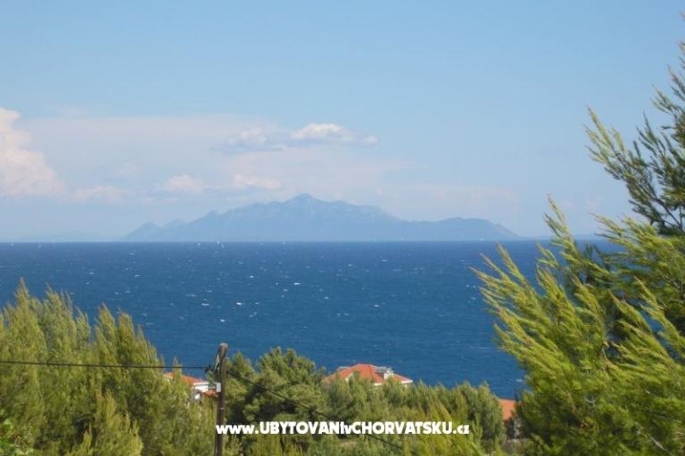 ART AND NATURE  – fotó 6