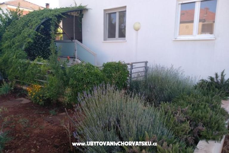 Apartman Paiz – fotó 2