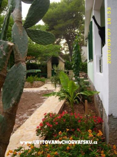 Apartmanok Antica – fotó 9