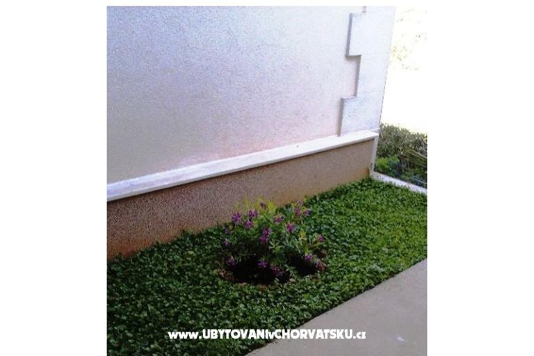 Apartmanok Belić Nikola – fotó 17