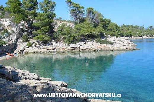 Apartmanok Brkan – fotó 15