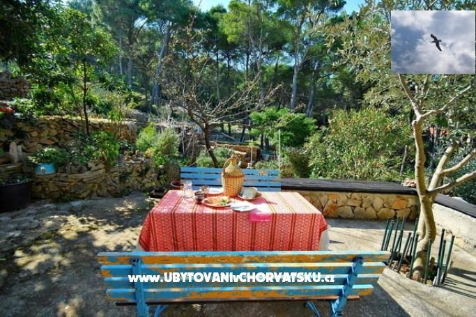 Apartmanok Grgicevic – fotó 9