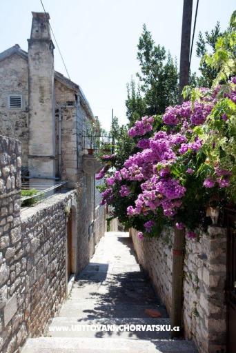 apartman Marina Hvar – fotó 7