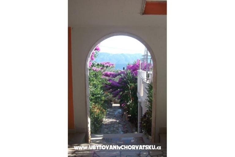 Apartmanok Nada – fotó 4
