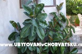 Apartmanok Račić – fotó 7