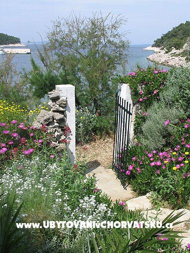 Apartman Stiniva – fotó 4