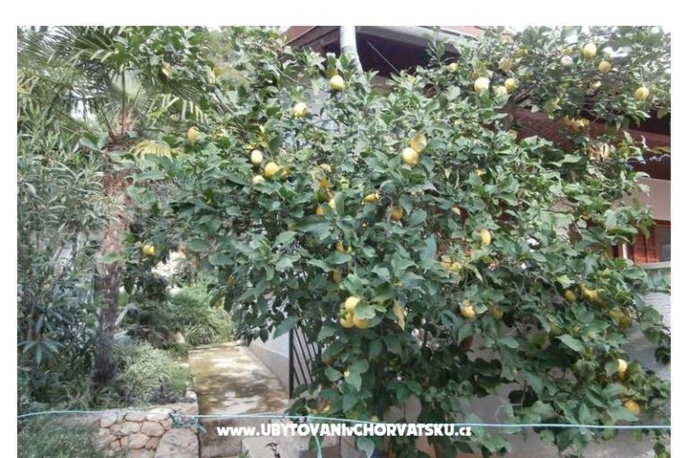 Apartmanok Bogović – fotó 20