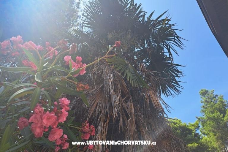 Apartmanok Bogović – fotó 28