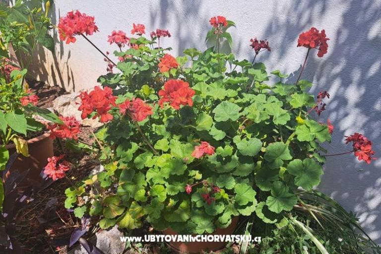 Apartmanok Bogović – fotó 35