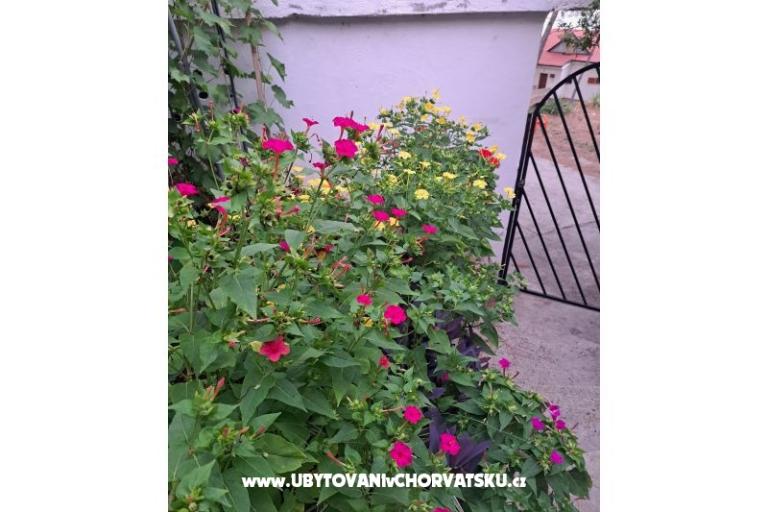 Apartmanok Bogović – fotó 42