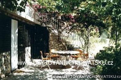 Apartmanok Bougainvillea – fotó 2