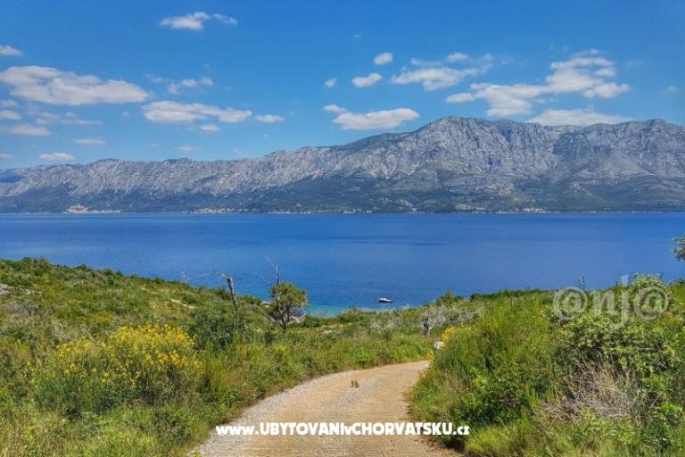 Apartmanok Raueiser – fotó 13