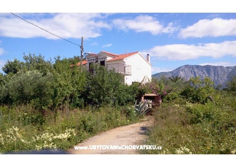 Apartmanok Rolanda – fotó 13