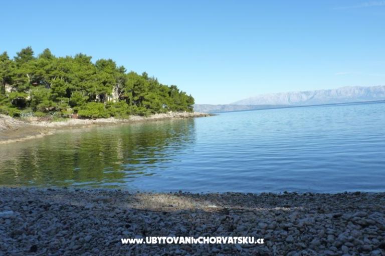 ApartmanokNikolinaGrgicevic – fotó 7