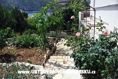 Apartmanok Boni – fotó 3
