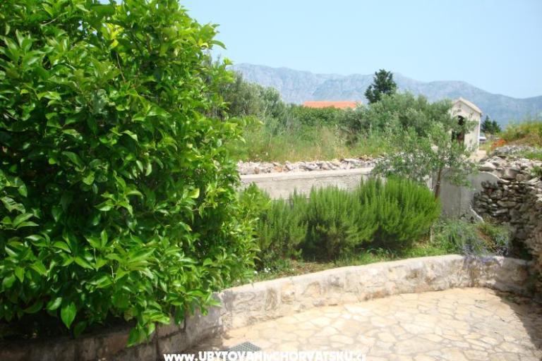 Ház Jadranka – fotó 14