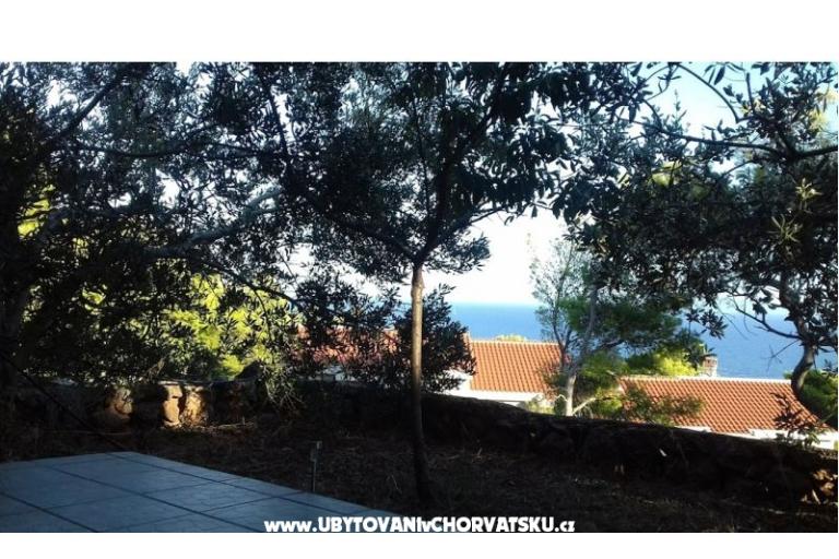 Tigrich apartmani – fotó 11