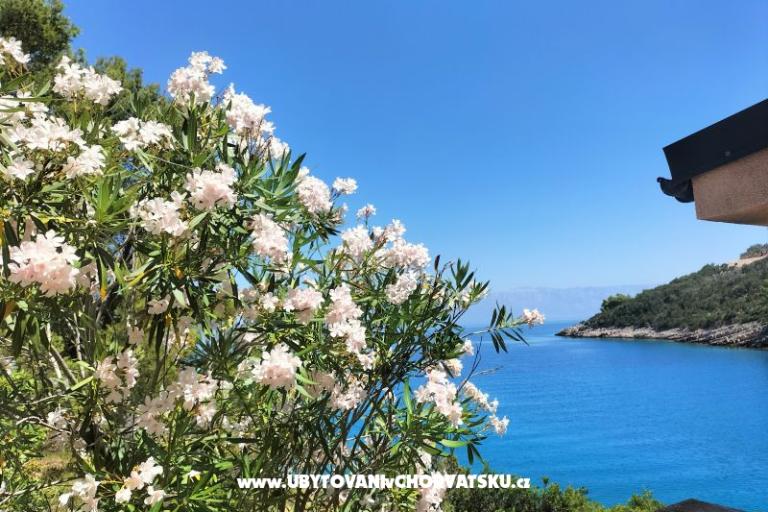 Vila Marija - uvala Prapotna – fotó 20