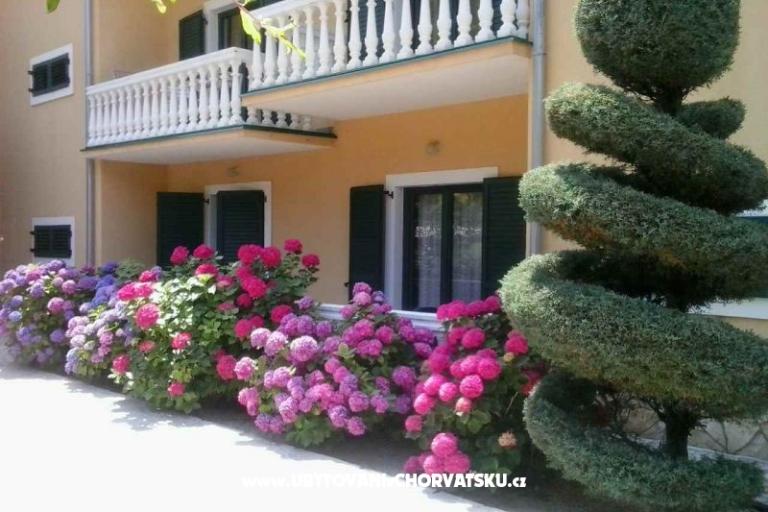 Villa Carevic – fotó 4