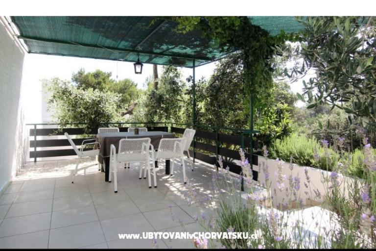 Villa Ema – fotó 10