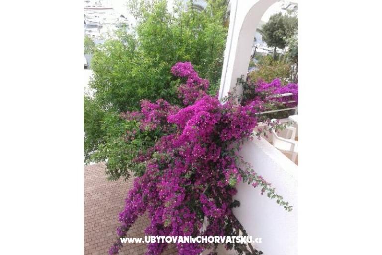 Apartmanok Lile – fotó 6