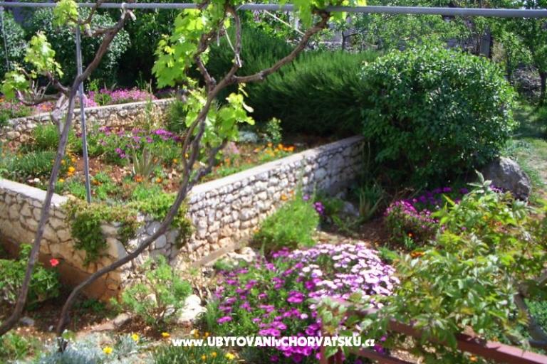 Apartman Buterin – fotó 11
