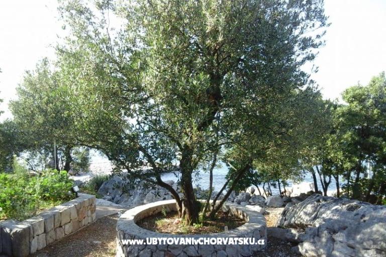 Apartman Smiljana – fotó 2