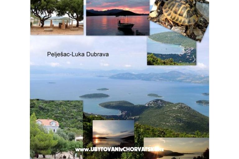 Apartmanok Mirjana  – fotó 15