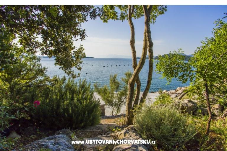 Apartmanok Marijana – fotó 17