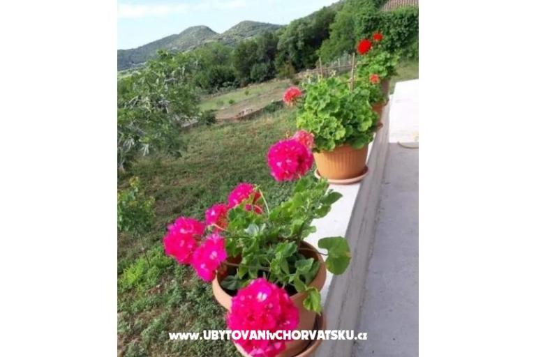 Gardenia Ház – fotó 11