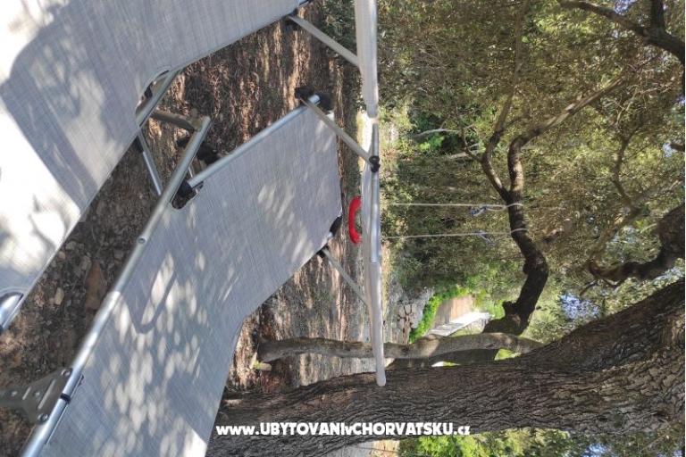 Ted Apartmanok – fotó 13