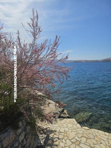 Villa Amfora with Pool - Karlobag – fotó 13