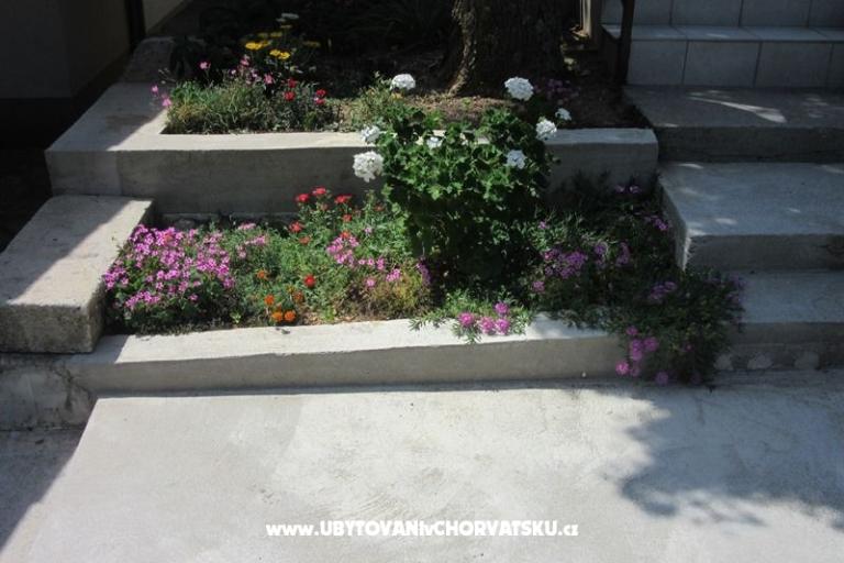 Apartmanok Gracijela – fotó 14