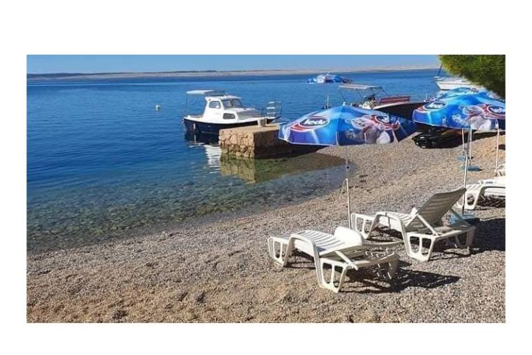 Apartmanok Nil – fotó 4