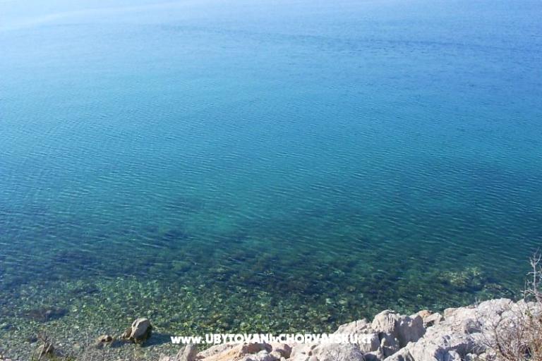 Apartmanok Delfin – fotó 16