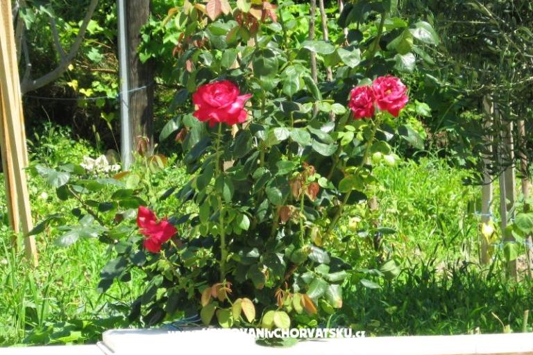 Apartmanok Božana – fotó 6