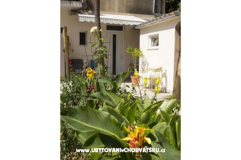 Apartmanok Bugenvilla – fotó 11