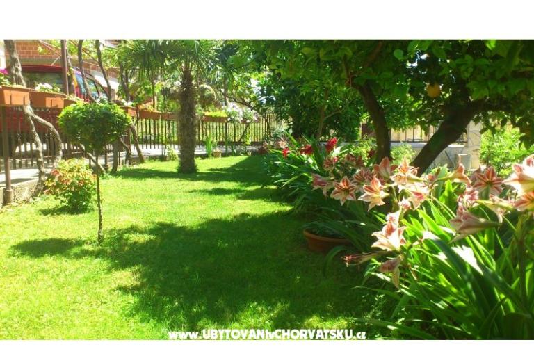 Apartmanok Duje – fotó 12