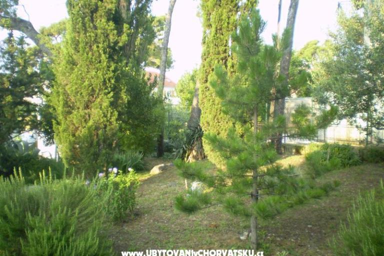 Apartmanok Grgin – fotó 11