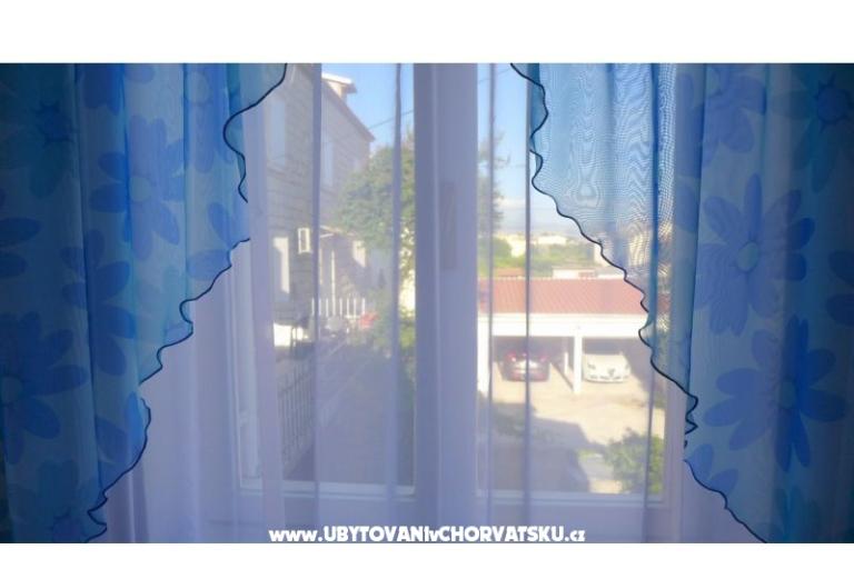 Zvijezda mora – fotó 12