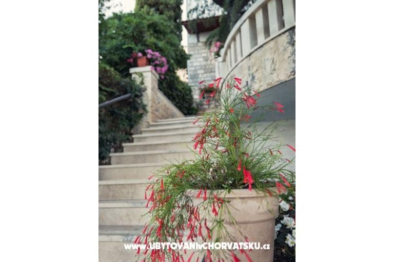 Apartmanok i Szobák Villa Barbara – fotó 11