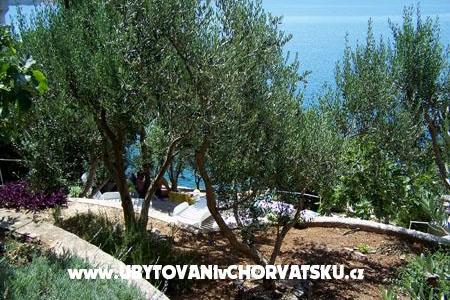 Apartmanok Mediterraneo – fotó 11
