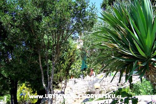 Apartmanok Mediterraneo – fotó 13