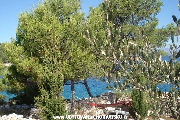 Apartman Kaurloto – fotó 8
