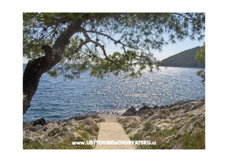 Apartmanok Ančila – fotó 14