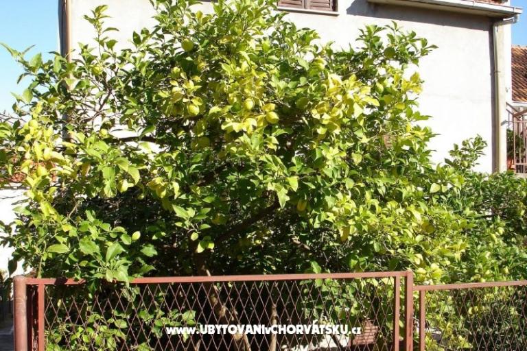 Apartmanok Ankica – fotó 4