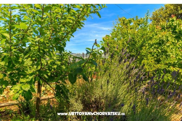 Apartmanok Kastelan – fotó 6