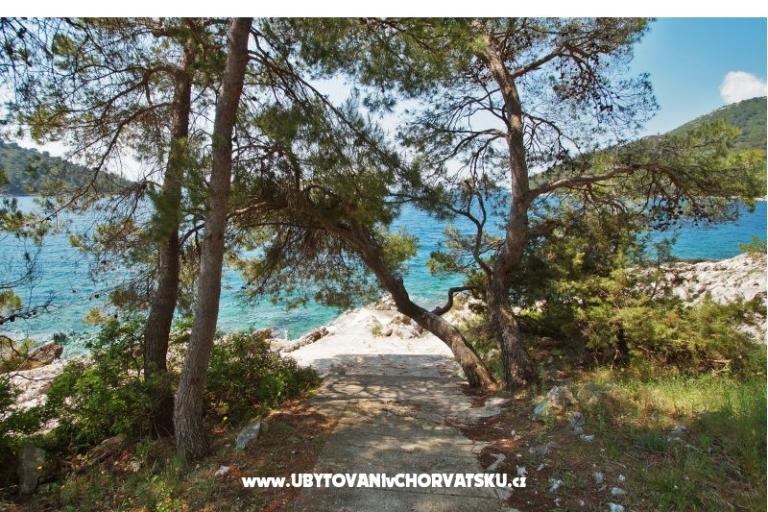Apartmanok Marica P. – fotó 6